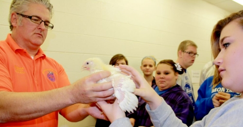 jr-FFA bird