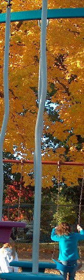 swing